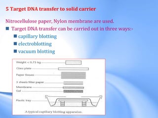 5 Target DNA transfer to solid carrier
Nitrocellulose paper, Nylon membrane are used.
 Target DNA transfer can be carried out in three ways:-
 capillary blotting
 electroblotting
 vacuum blotting
 