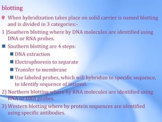 blotting
When hybridization takes place on solid carrier is named blotting
and is divided in 3 categories:-
1 )Southern blotting where by DNA molecules are identified using
DNA or RNA probes.
 Southern blotting are 4 steps:
 DNA extraction
 Electrophoresis to separate
 Transfer to membrane
 Use labeled probes, which will hybridize to specific sequence,
to identify sequence of interest.
2) Northern blotting where by RNA molecules are identified using
RNA or DNA probes.
3) Western blotting where by protein sequences are identified
using specific antibodies.
 