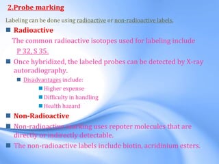 2.Probe marking
Labeling can be done using radioactive or non-radioactive labels.
 Radioactive
The common radioactive isotopes used for labeling include
P 32, S 35.
 Once hybridized, the labeled probes can be detected by X-ray
autoradiography.
 Disadvantages include:
 Higher expense
 Difficulty in handling
 Health hazard
 Non-Radioactive
 Non-radioactive marking uses repoter molecules that are
directly or indirectly detectable.
 The non-radioactive labels include biotin, acridinium esters.
 