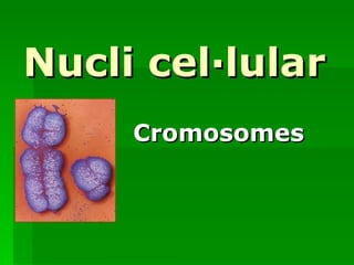 Nucli cel·lular Cromosomes 