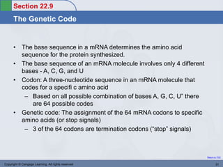 Nucleotide R Code Nucliec-Acid.ppt Chapter 22. Chemistry.. | PPT