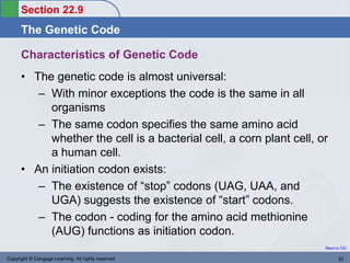 Nucliec-Acid.ppt Chapter 22. Chemistry.. | PPT
