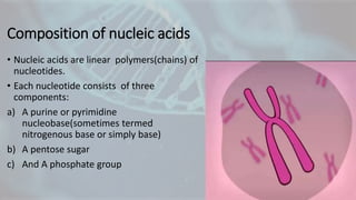 Composition of nucleic acids
• Nucleic acids are linear polymers(chains) of
nucleotides.
• Each nucleotide consists of thr...
