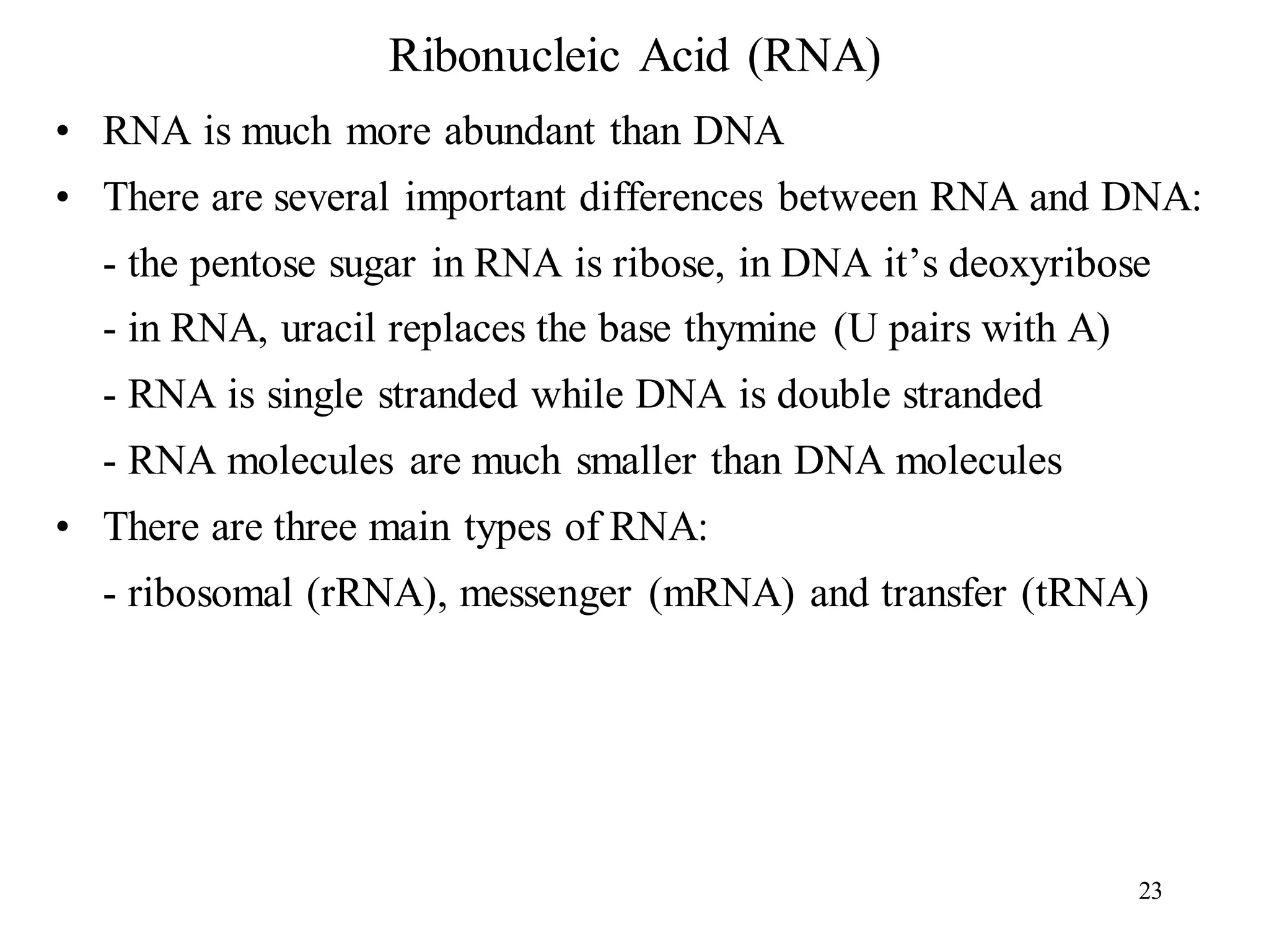Ribonucleic Acid (RNA)
• RNA is much more abundant than DNA
• There are several important differences between RNA and DNA:
- the pentose sugar in RNA is ribose, in DNA it’s deoxyribose
- in RNA, uracil replaces the base thymine (U pairs with A)
- RNA is single stranded while DNA is double stranded
- RNA molecules are much smaller than DNA molecules
• There are three main types of RNA:
- ribosomal (rRNA), messenger (mRNA) and transfer (tRNA)
23
 