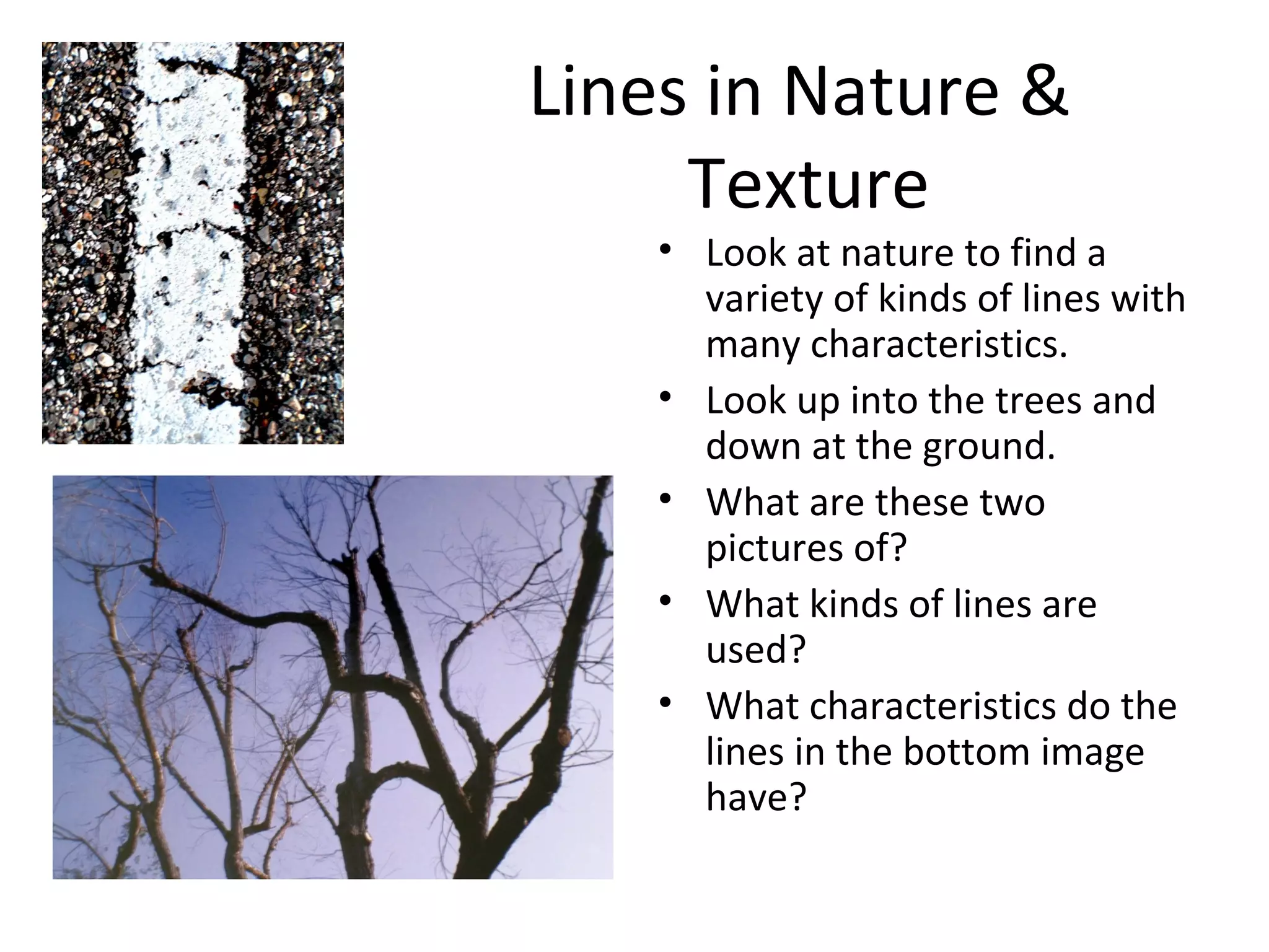 Lines in Nature & 
Texture 
• Look at nature to find a 
variety of kinds of lines with 
many characteristics. 
• Look up into the trees and 
down at the ground. 
• What are these two 
pictures of? 
• What kinds of lines are 
used? 
• What characteristics do the 
lines in the bottom image 
have? 
 
