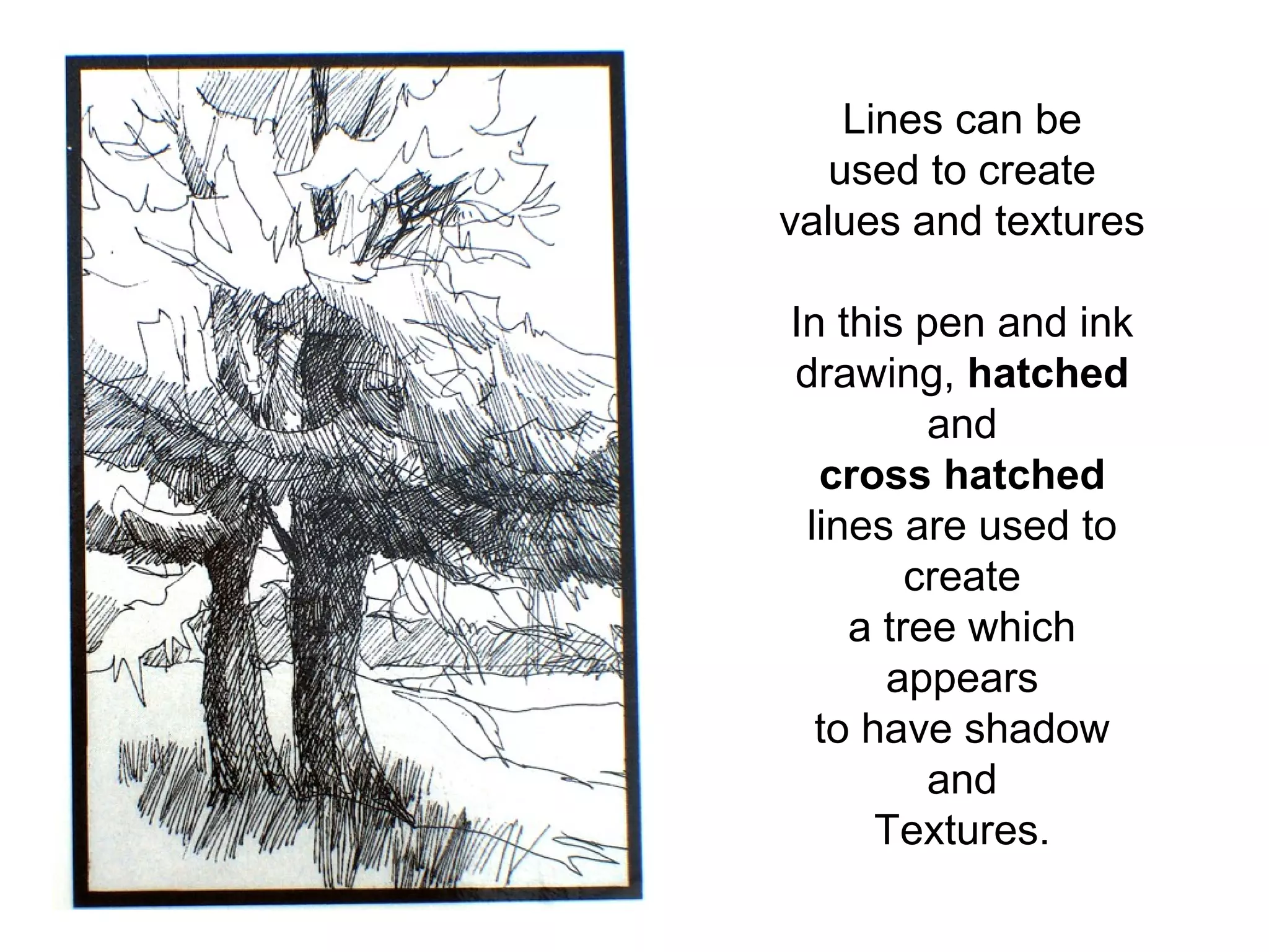Lines can be 
used to create 
values and textures 
In this pen and ink 
drawing, hatched 
and 
cross hatched 
lines are used to 
create 
a tree which 
appears 
to have shadow 
and 
Textures. 
 