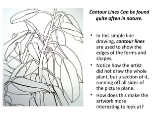 Contour Lines Can be found 
quite often in nature. 
• In this simple line 
drawing, contour lines 
are used to show the 
edges of the forms and 
shapes. 
• Notice how the artist 
did not draw the whole 
plant, but a section of it, 
running off all sides of 
the picture plane. 
• How does this make the 
artwork more 
interesting to look at? 
 