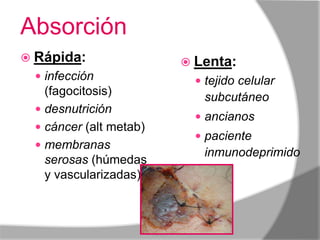 Absorción
 Rápida:                           Lenta:
  infección                          tejido celular
   (fagocitosis)                      subcutáneo
  desnutrición
                                      ancianos
  cáncer (alt metab)
                                      paciente
  membranas
                                      inmunodeprimido
   serosas (húmedas
   y vascularizadas)



                        Y.A.O.C.
 