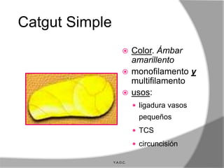 Catgut Simple
                      Color. Ámbar
                       amarillento
                      monofilamento y
                       multifilamento
                      usos:
                            ligadura vasos
                             pequeños
                            TCS

                            circuncisión

                Y.A.O.C.
 