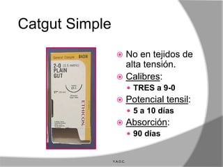 Catgut Simple
                   No en tejidos de
                    alta tensión.
                   Calibres:
                            TRES a 9-0
                          Potencial tensil:
                            5 a 10 días
                          Absorción:
                            90 días


                Y.A.O.C.
 