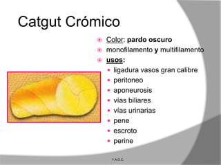 Catgut Crómico
             Color: pardo oscuro
             monofilamento y multifilamento
             usos:
               ligadura vasos gran calibre
               peritoneo
               aponeurosis
               vías biliares
               vías urinarias
               pene
               escroto
               perine

               Y.A.O.C.
 