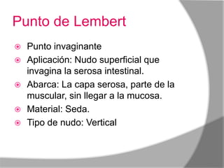 Punto de Lembert
   Punto invaginante
   Aplicación: Nudo superficial que
    invagina la serosa intestinal.
   Abarca: La capa serosa, parte de la
    muscular, sin llegar a la mucosa.
   Material: Seda.
   Tipo de nudo: Vertical
 