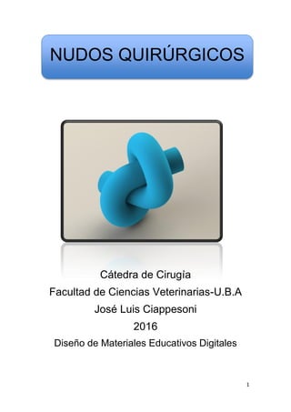 1
Cátedra de Cirugía
Facultad de Ciencias Veterinarias-U.B.A
José Luis Ciappesoni
2016
Diseño de Materiales Educativos Digitales
NUDOS QUIRÚRGICOS
 