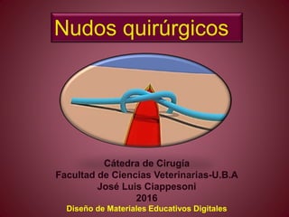 Nudos quirúrgicos
Cátedra de Cirugía
Facultad de Ciencias Veterinarias-U.B.A
José Luis Ciappesoni
2016
Diseño de Materiales Educativos Digitales
 