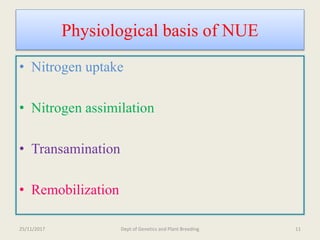 Breeding for nitrogen use efficiency in cereals | PPTX