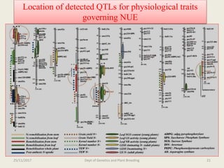 Breeding for nitrogen use efficiency in cereals | PPTX