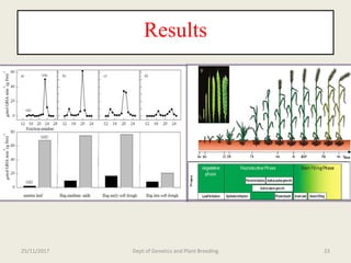 Breeding for nitrogen use efficiency in cereals | PPTX