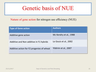 Breeding for nitrogen use efficiency in cereals | PPTX