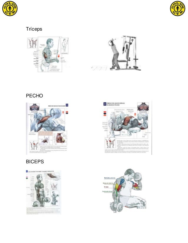 La curvatura de la columna vertebral en sheynom la lordosis