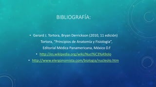 BIBLIOGRAFÍA: 
• Gerard J. Tortora, Bryan Derrickson (2010, 11 edición) 
Tortora, “Principios de Anatomía y Fisiología”, 
Editorial Médica Panamericana, México D.f 
• http://es.wikipedia.org/wiki/Nucl%C3%A9olo 
• http://www.elergonomista.com/biologia/nucleolo.htm 
