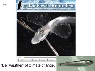 ST#3 “ Bell weather” of climate change. 