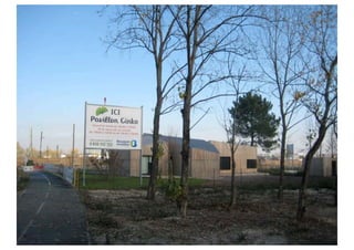 NUEE Tactical Urbanism