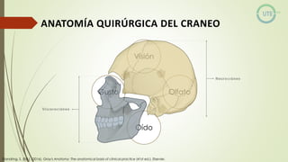 NUEROCIRUGÍA Y ANATOMÍA QUIRURGICA GENERALIDADES.pdf