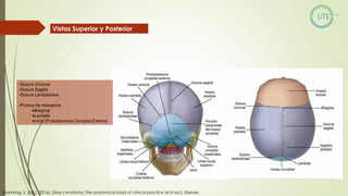 NUEROCIRUGÍA Y ANATOMÍA QUIRURGICA GENERALIDADES.pdf