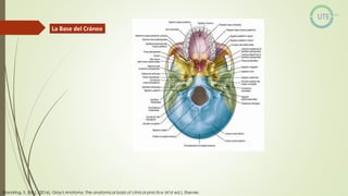 NUEROCIRUGÍA Y ANATOMÍA QUIRURGICA GENERALIDADES.pdf