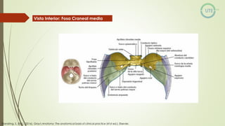 NUEROCIRUGÍA Y ANATOMÍA QUIRURGICA GENERALIDADES.pdf