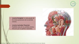 NUEROCIRUGÍA Y ANATOMÍA QUIRURGICA GENERALIDADES.pdf