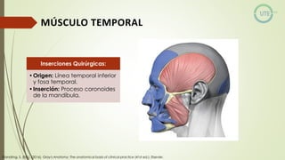 NUEROCIRUGÍA Y ANATOMÍA QUIRURGICA GENERALIDADES.pdf