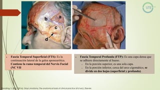 NUEROCIRUGÍA Y ANATOMÍA QUIRURGICA GENERALIDADES.pdf