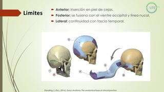 NUEROCIRUGÍA Y ANATOMÍA QUIRURGICA GENERALIDADES.pdf