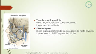 NUEROCIRUGÍA Y ANATOMÍA QUIRURGICA GENERALIDADES.pdf