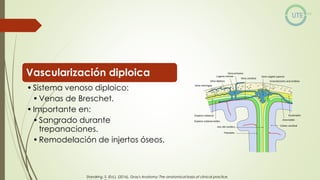NUEROCIRUGÍA Y ANATOMÍA QUIRURGICA GENERALIDADES.pdf