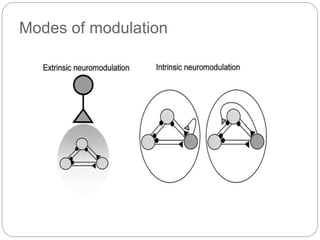 Modulating Neuron Neuromodulation | PPTX