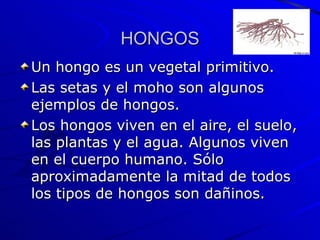 HONGOS Un hongo es un vegetal primitivo.  Las setas y el moho son algunos ejemplos de hongos.  Los hongos viven en el aire, el suelo, las plantas y el agua. Algunos viven en el cuerpo humano. Sólo aproximadamente la mitad de todos los tipos de hongos son dañinos.  