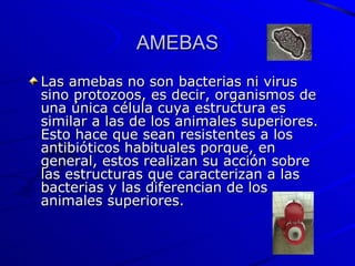 AMEBAS Las amebas no son bacterias ni virus sino protozoos, es decir, organismos de una única célula cuya estructura es similar a las de los animales superiores. Esto hace que sean resistentes a los antibióticos habituales porque, en general, estos realizan su acción sobre las estructuras que caracterizan a las bacterias y las diferencian de los animales superiores. 
