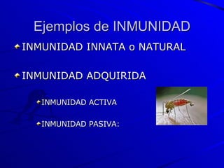 Ejemplos de INMUNIDAD INMUNIDAD INNATA o NATURAL INMUNIDAD ADQUIRIDA INMUNIDAD ACTIVA INMUNIDAD PASIVA: 