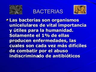 BACTERIAS Las bacterias son organismos unicelulares de vital importancia y útiles para la humanidad. Solamente el 1% de ellas producen enfermedades, las cuales son cada vez más difíciles de combatir por el abuso indiscriminado de antibióticos 