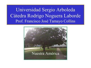 Universidad Sergio Arboleda
Cátedra Rodrigo Noguera Laborde
Prof. Francisco José Tamayo Collins

Nuestra América

 