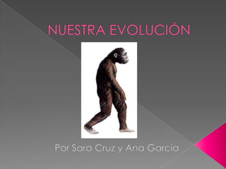 NUESTRA EVOLUCIÓN Por Sara Cruz y Ana García 