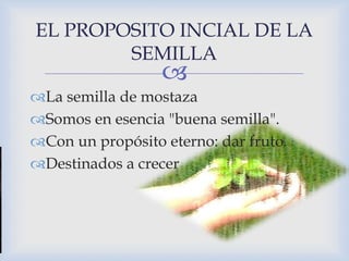 EL PROPOSITO INCIAL DE LA 
SEMILLA 
 
La semilla de mostaza 
Somos en esencia "buena semilla". 
Con un propósito eterno: dar fruto 
Destinados a crecer 
 