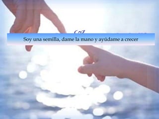  
Soy una semilla, dame la mano y ayúdame a crecer 
