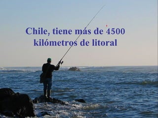 Chile, tiene más de 4500 kilómetros de litoral 