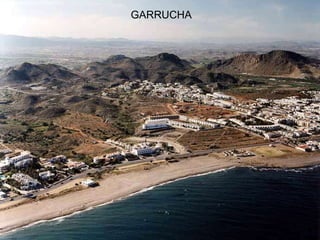 GARRUCHA
 