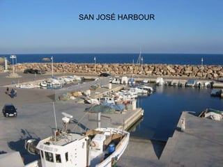 SAN JOSÉ HARBOUR
 