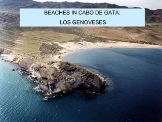 BEACHES IN CABO DE GATA:
LOS GENOVESES
 