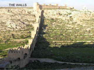 THE WALLS
 